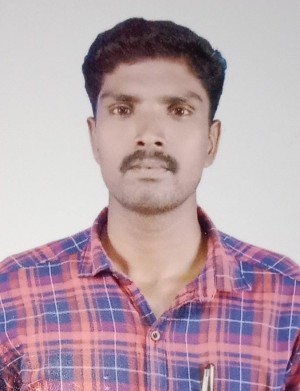 T. Veeramani