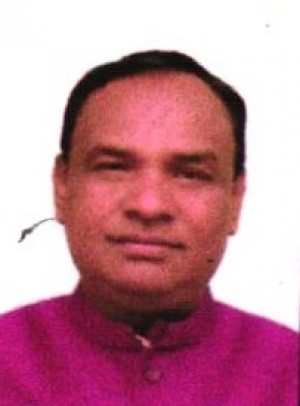 BHASKAR MADHEI