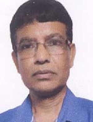 DIPANKAR SEN