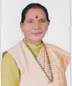 DR. MEERA KAUMUDI