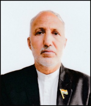 DR ALI MOHD MIR