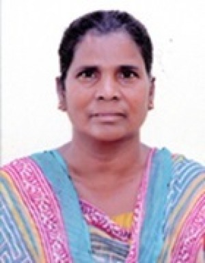 G. ANKALESWARI