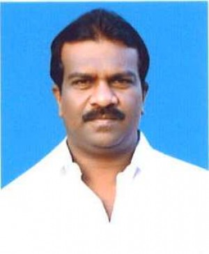 MOHAN P