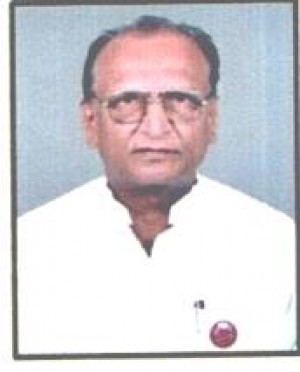 RAGHUNATHDADA PATIL