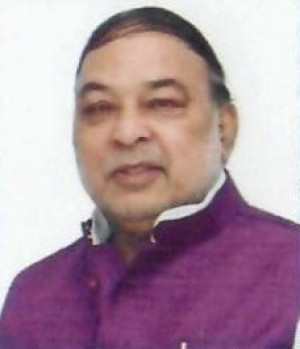 RAVIDAS MEHROTRA