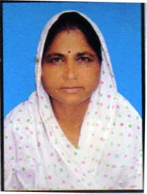 श्रीमती दुर्गेश नंदिनी