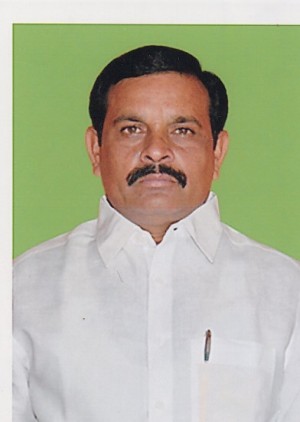 VENKATA SUDHAKAR REDDY PALLAVOLU