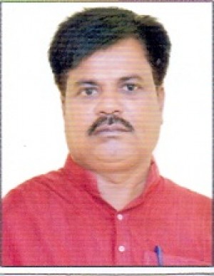 VIKASH CHANDRA MANDAL